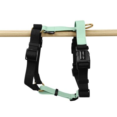 Harness - Outdoor - 5-way adjustable - Black/Mint