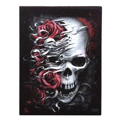 19x25cm Skulls n Roses Plaque en Toile par Spiral Direct