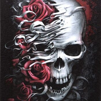 19x25cm Skulls n Roses Plaque en Toile par Spiral Direct 2