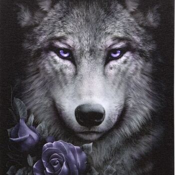 Plaque en Toile Wolf Roses 19x25cm par Spiral Direct 2