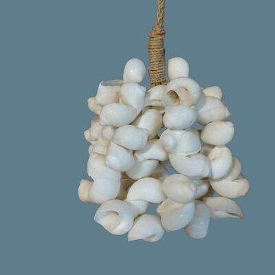 bouquet de coquillages décoration de coquillages