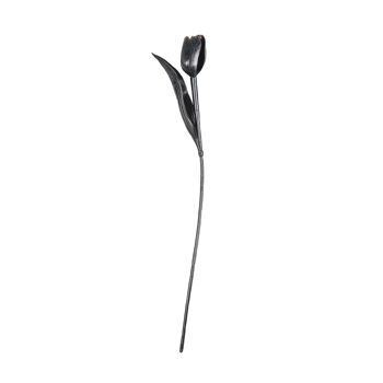 HV 12 Tulipes Noires - 20x40 cm - Polysterène 2