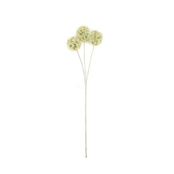 Branche d'Allium HV - Blanc/Vert - 20x65cm - Polysterène 1
