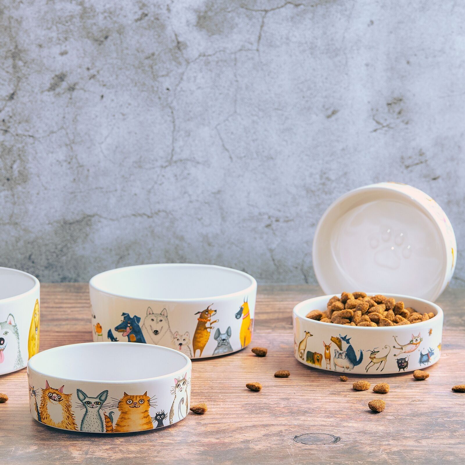 Hunde- und Katzennäpfe – Vom Wedeln bis zum Schnurrhaar