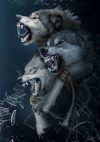 les loups 1