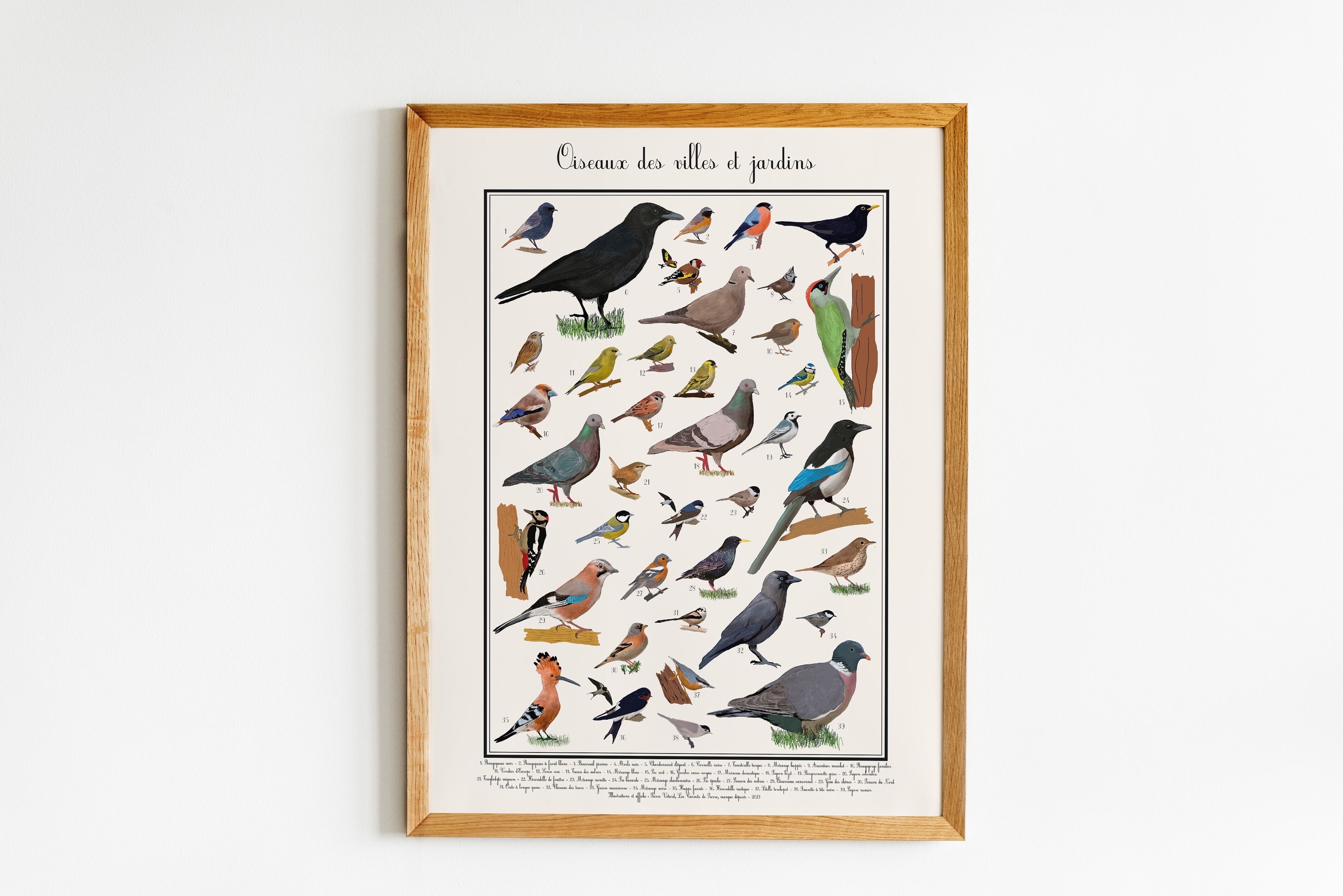 Buy Wholesale Garden Birds Poster