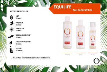 Purifier Equilife 4