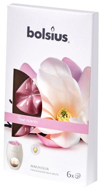 Paquet de 6 pastilles parfumées True Scents Magnolia