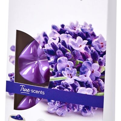 True Scents geurchips pack 6 Lavendel