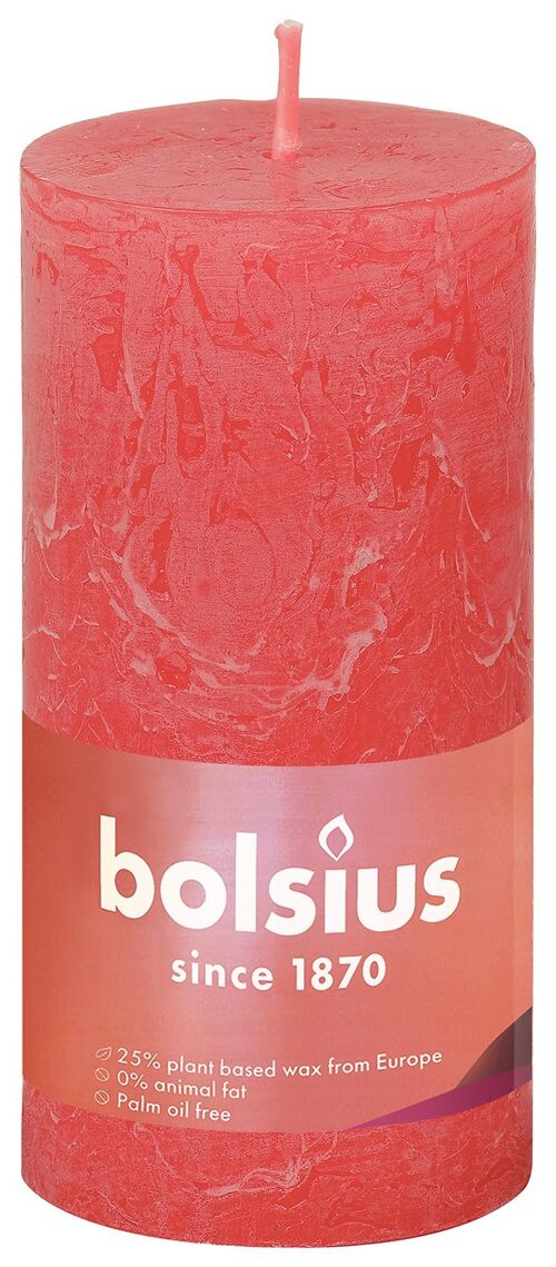 Shine rustiekkaars 100/50 Blossom Pink