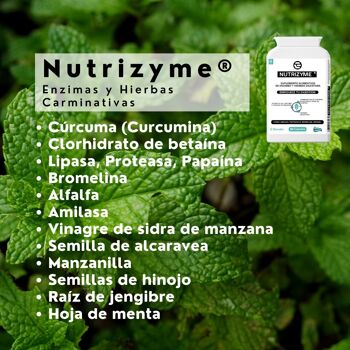 NUTRIZYME® | Enzymes Digestives et Plantes | 90 capsules. | Papaïne, Lipase, Amylase, Bromélaïne, Protéase, Curcumine, Bromélaïne ++ 6