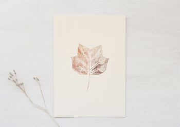 Tulipier • petite affiche • empreinte végétale Cuivrée 2