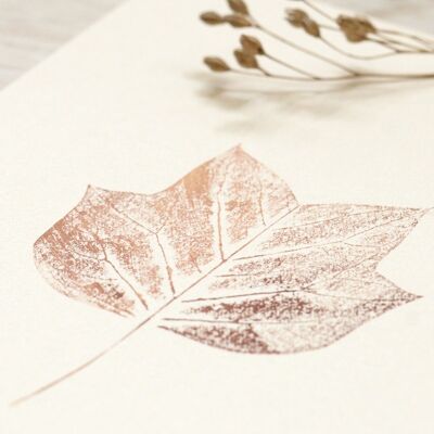Albero dei tulipani • piccolo poster • stampa vegetale Rame