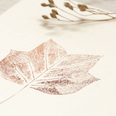 Tulpenbaum • kleines Poster • Pflanzendruck Kupfer