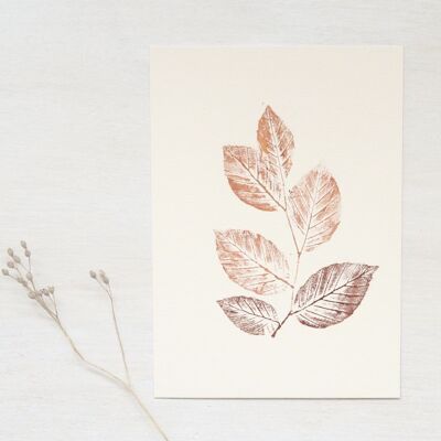 Buche • kleines Poster • Pflanzendruck Kupfer