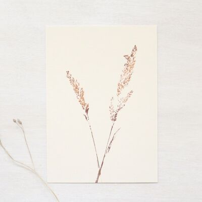 Grass • small poster • plant footprint Copper