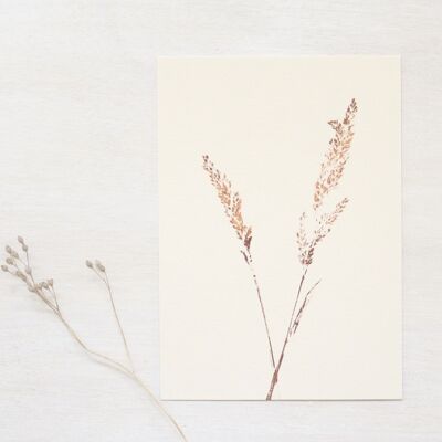 Gras • kleines Poster • Pflanzenfußabdruck Kupfer