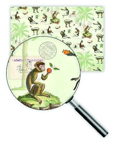 Paper Cadeu 50 x 70 cm (Design: singolo) (SKU: 9878)