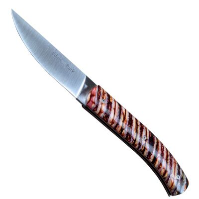 Couteau Molaire de Mammouth Manche Rouge – Eden Park x Ovalie Original