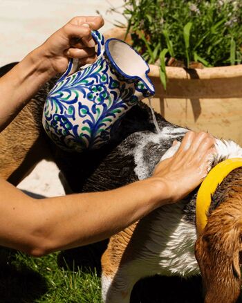 Shampoing pour chiens peaux sensibles (grand) 3