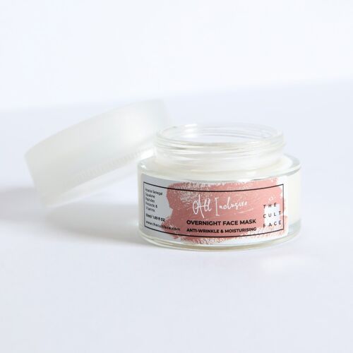 All Inclusive anti-wrinkle overnight moisturising face mask