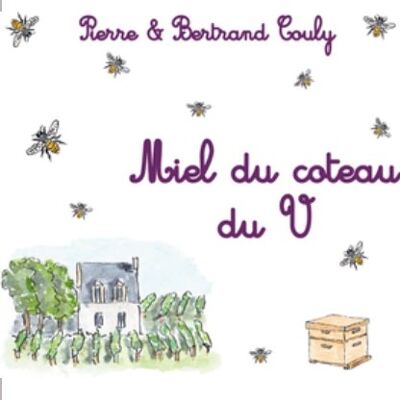 Honey from our terroir of the Coteaux du V