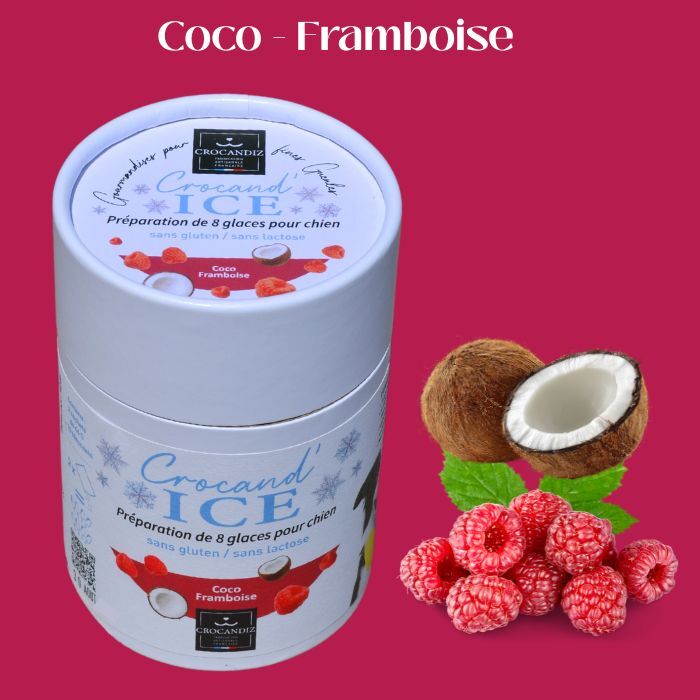 Hundeeis Kokosnuss Himbeere