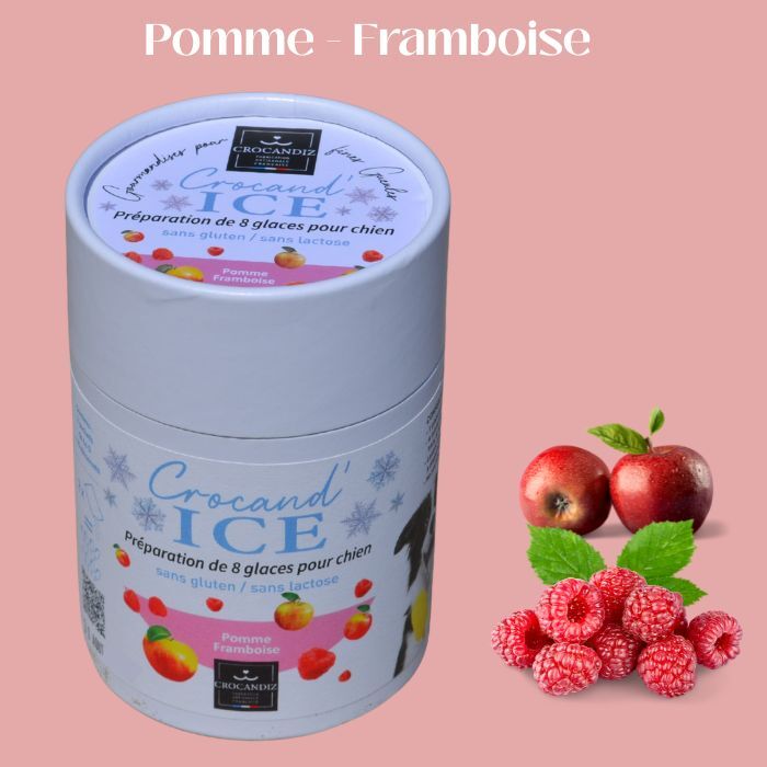 Apfel-Himbeer-Eis für Hunde