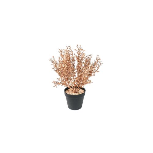 HV Golden Plant with black pot - Polysterene