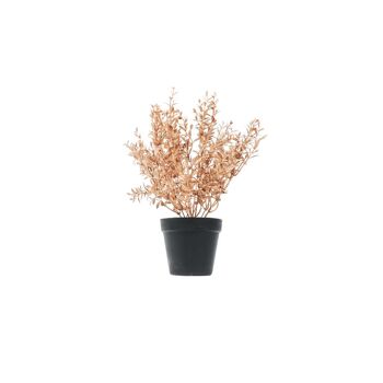 HV Golden Plant avec pot noir - Polysterene 2