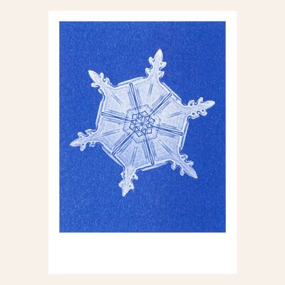 Carte postale risographie neige