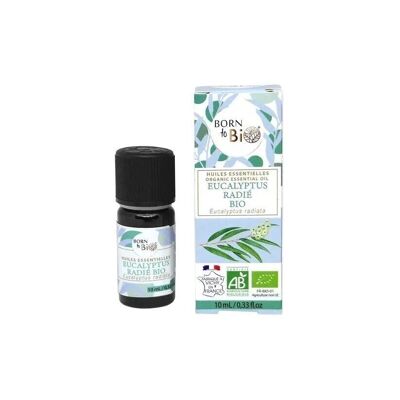 Huile essentielle d'Eucalyptus radié - Certifiée Bio