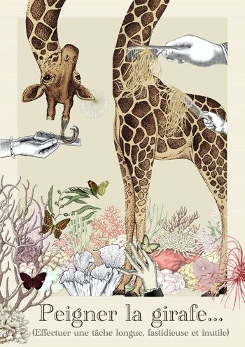 peigner la girafe 2