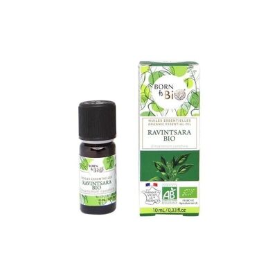 Ravintsara Essential Oil - Certified Organic