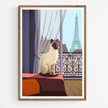 Poster Chat siamois en appartement à Paris 1