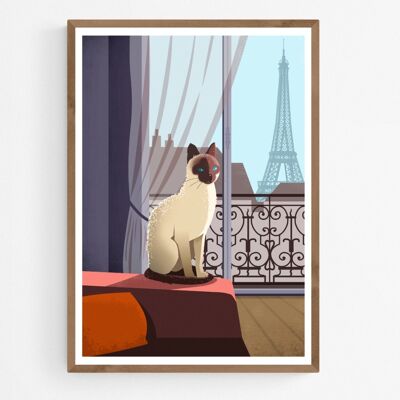 Poster Siamese Kat in Appartement in Parijs
