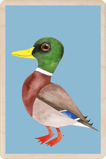 Carte postale en bois CANARD MALLARD Bird Card 2