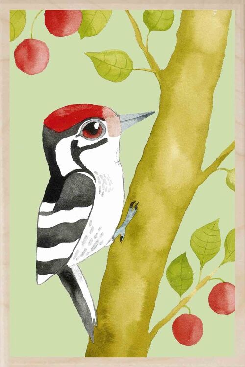 Wooden Postcard WOODPECKER Bird Card