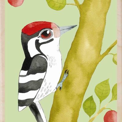 Carte postale en bois WOODPECKER Bird Card