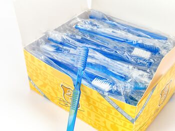 Compra dr. Cepillos de dientes desechables de Bauer con pasta de