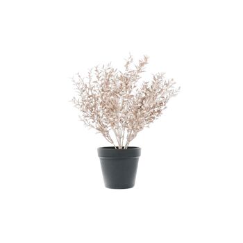 HV Bronze Golden Plant avec pot noir - Polysterene 2