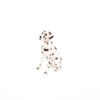 Dalmatien HV - Noir/Blanc 1