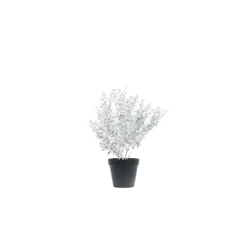 HV Silver Plant with black pot - Polysterene - 15x30x45 cm