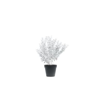 HV-Silberpflanze mit schwarzem Topf – Polystyrol – 15 x 30 x 45 cm