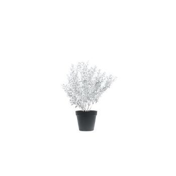 HV Silver Plant avec pot noir - Polysterene - 15x30x45 cm 1