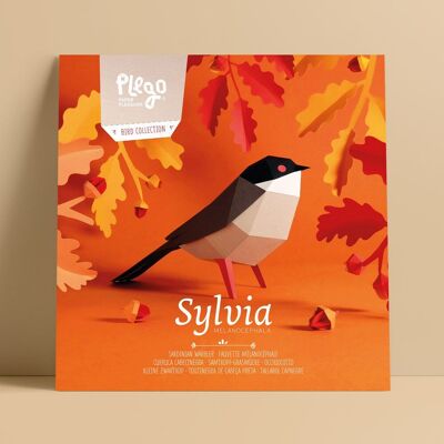 SYLVIA Kit di figure di carta