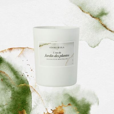 Bougie parfumée "L'eau du Jardin des Plantes"