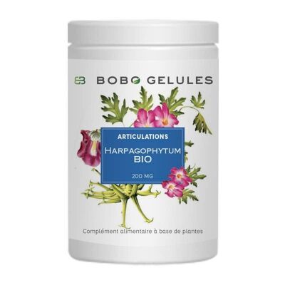 BOBO GELULES HARPAGOPHYTUM BIO 200 mg