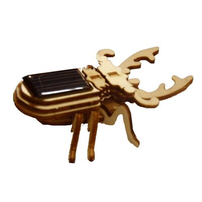 Modelo de madera artesanal de escarabajo solar animado