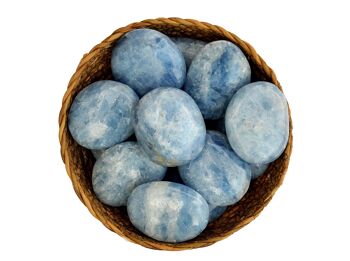 Pierre de palmier calcite bleue (40mm - 70mm) 6